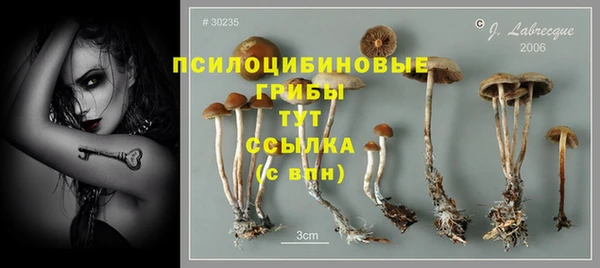 герыч Липки